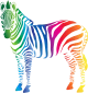colourful zebra